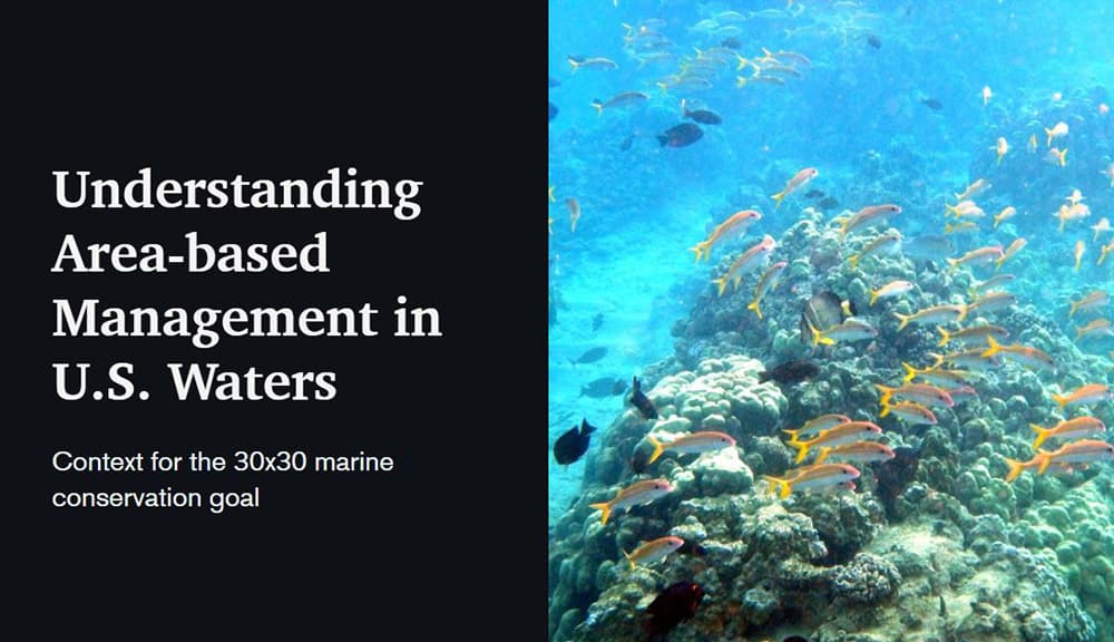 Understanding area-based managmement in use waters. Contenct fo the 30x30 marine conservation goal